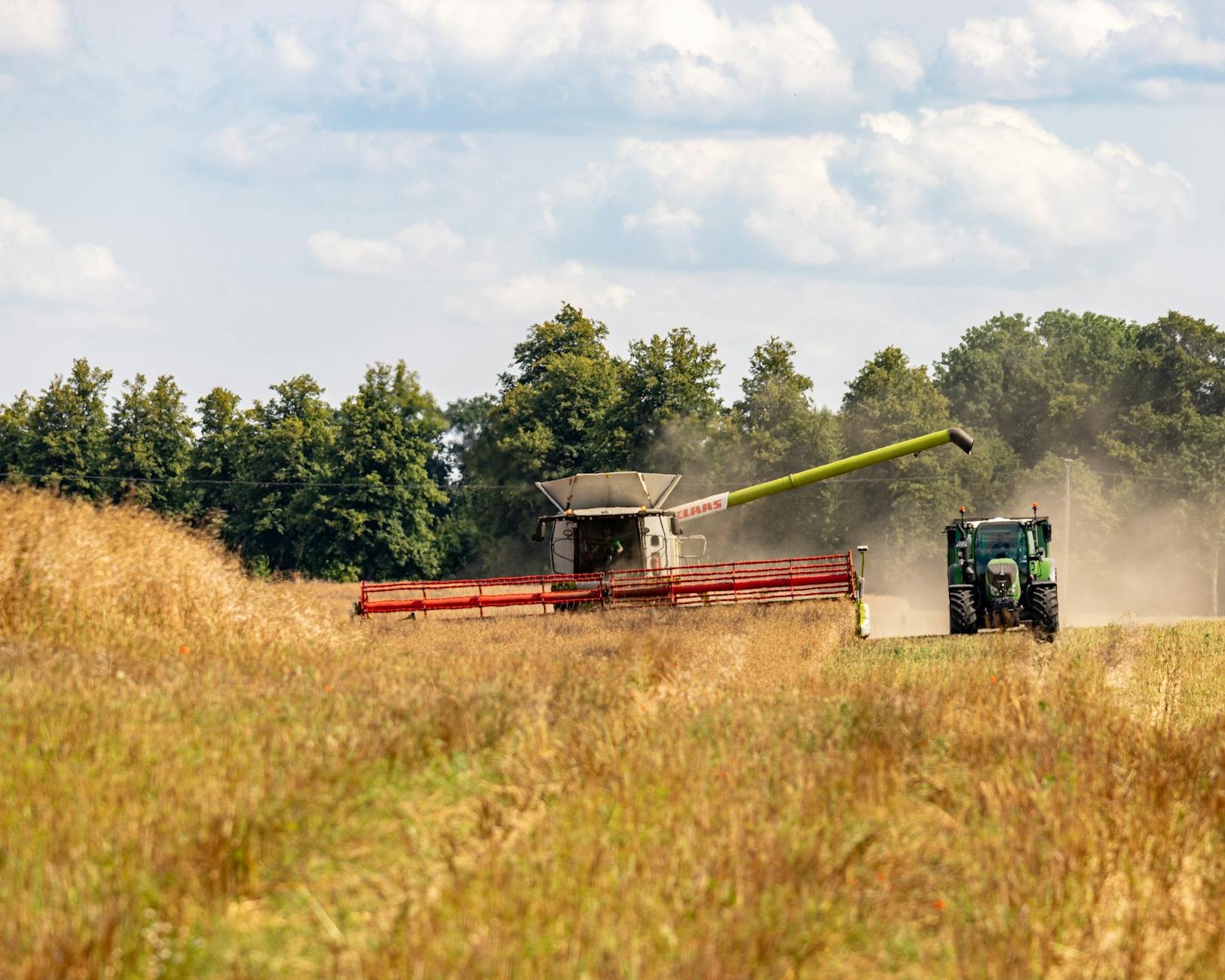 Kombajn i traktor pracujące przy żniwach na słonecznym polu w Niemczech